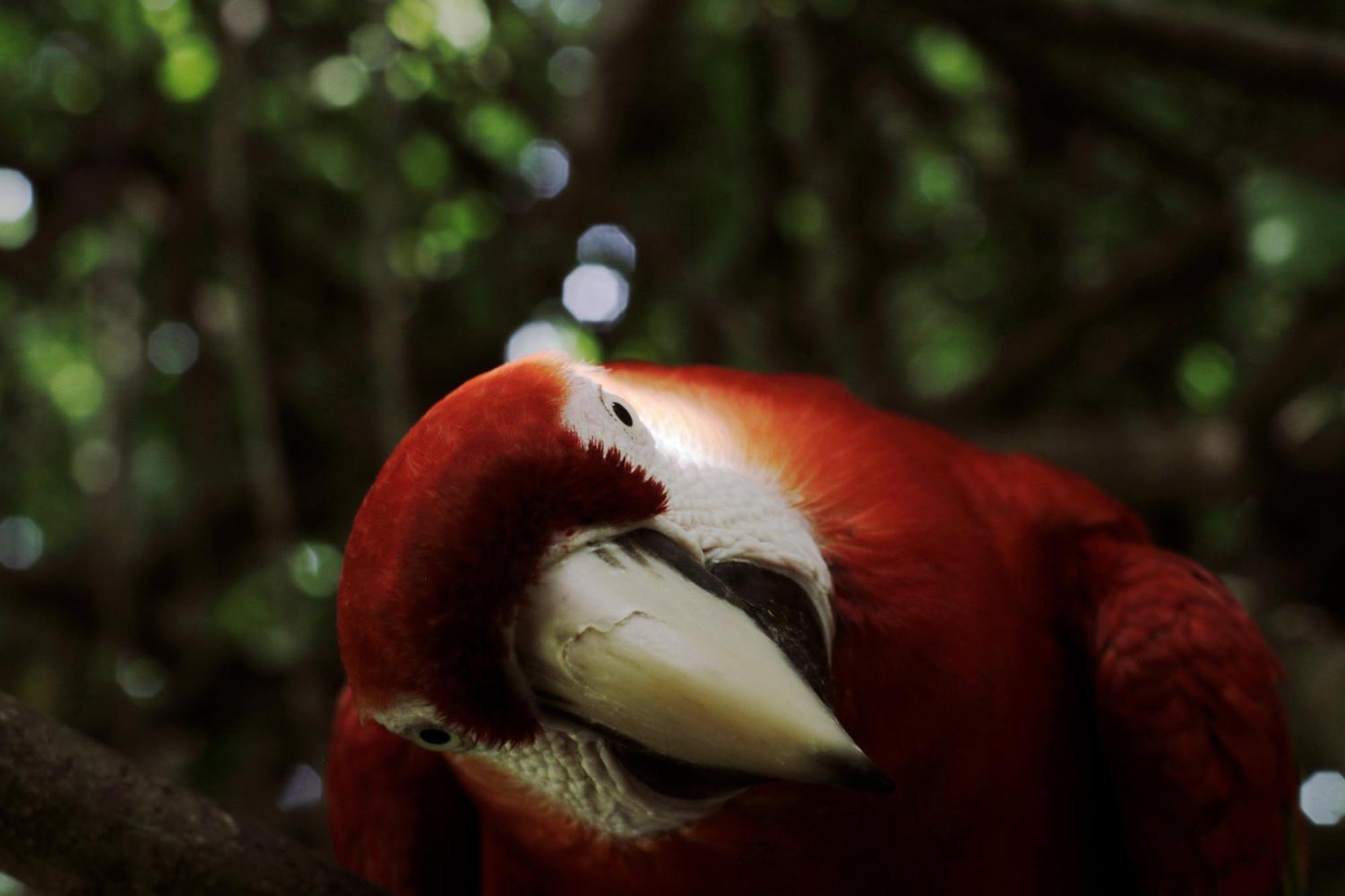 Finca Barlovento Cabana, Tayrona Los Naranjos Eksteriør billede