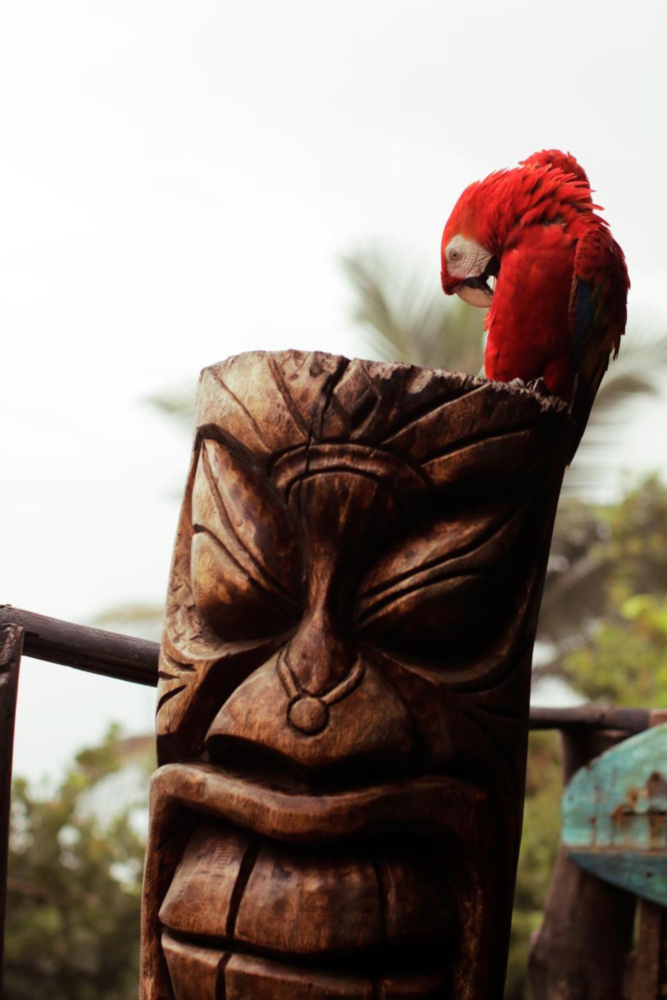 Finca Barlovento Cabana, Tayrona Los Naranjos Eksteriør billede
